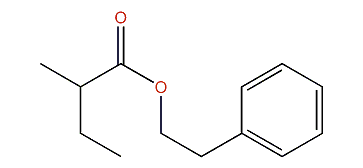2-Phenylethyl 2-methylbutyrate